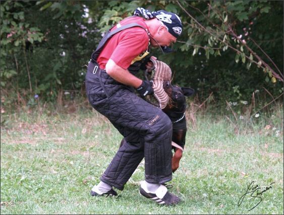 Summer training camp - Jelenec - 2007